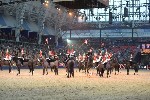 Cavalry - 00263